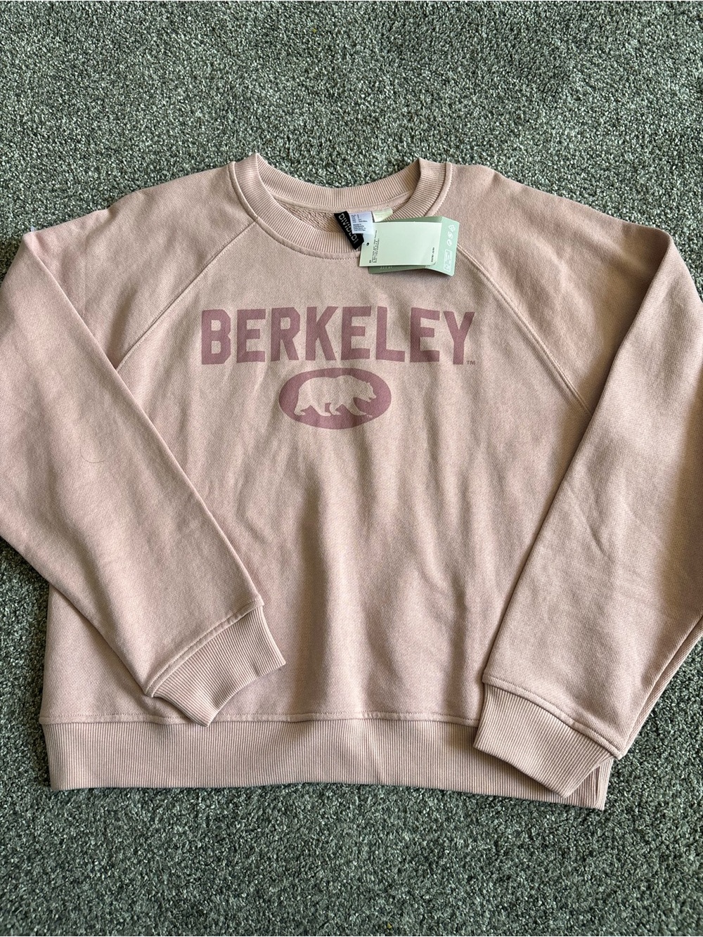 NWT H&M Berkeley Crewneck Sweatshirt - Dusty Pink
